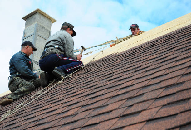 Best Roof Gutter Cleaning  in Clintwood, VA