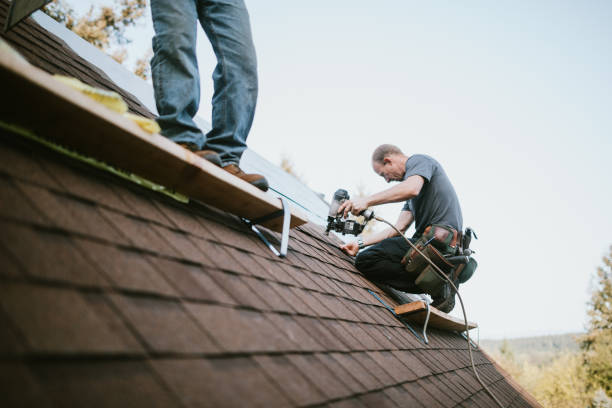 Best Roof Leak Repair  in Clintwood, VA